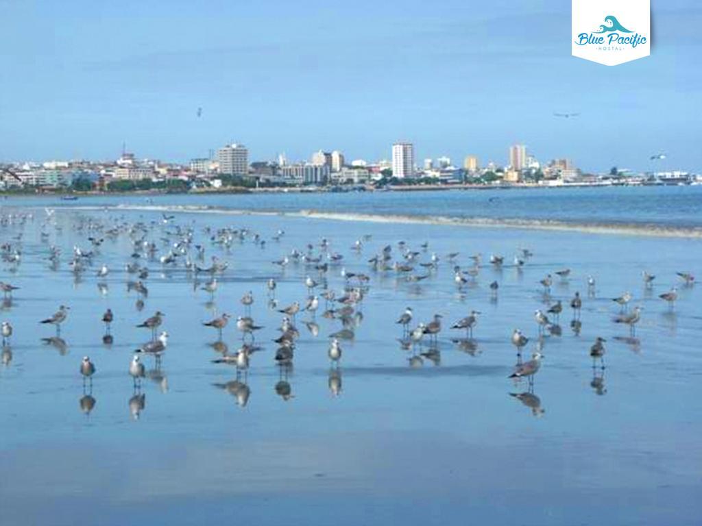 מנטה Hostal Blue Pacific מראה חיצוני תמונה